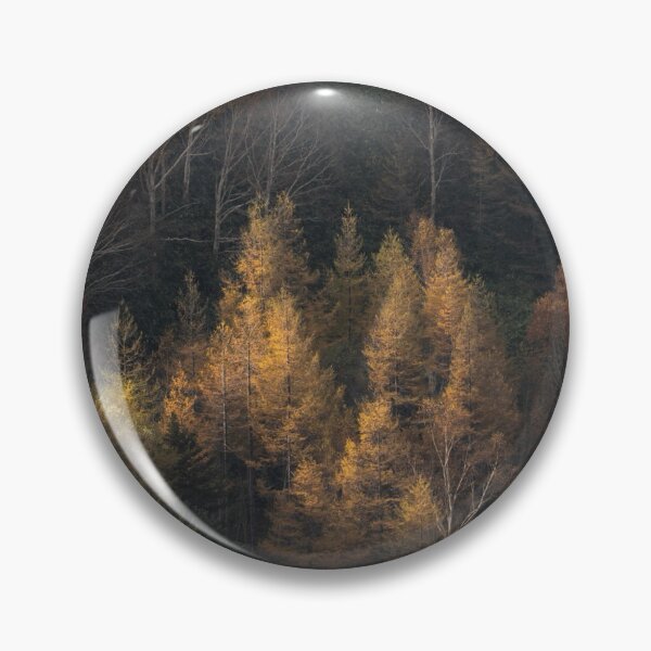 Item preview, Golden Autumn Forest Trees Photographic Print designed and sold by Mother-Nature65.