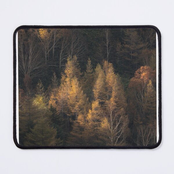 Item preview, Golden Autumn Forest Trees Photographic Print designed and sold by Mother-Nature65.