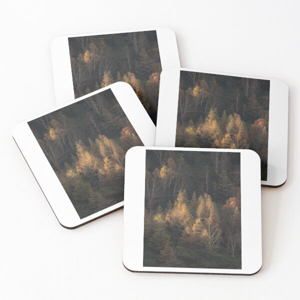 Item preview, Golden Autumn Forest Trees Photographic Print designed and sold by Mother-Nature65.