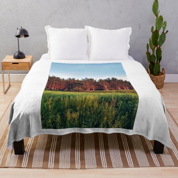Item preview, Green Field Red Trees Blue Sky Photographic Print designed and sold by Mother-Nature65.