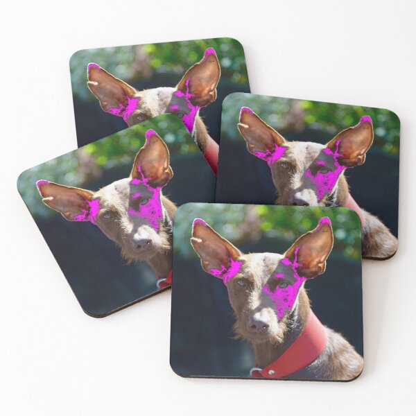 Item preview, Podenco Ibicenco – Intense view full of charm / Swiss Artwork Photography designed and sold by Raphael Wolf.