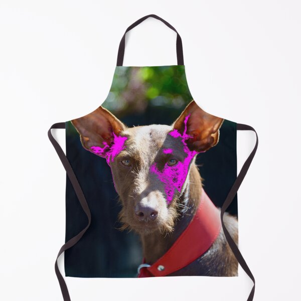 Item preview, Podenco Ibicenco – Intense view full of charm / Swiss Artwork Photography designed and sold by Raphael Wolf.