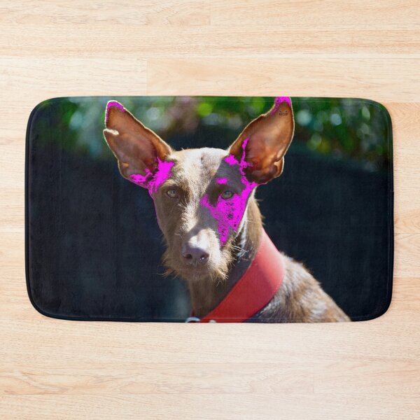 Item preview, Podenco Ibicenco – Intense view full of charm / Swiss Artwork Photography designed and sold by Raphael Wolf.