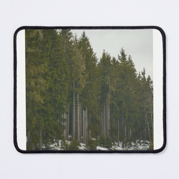 Item preview, Green Forest Highway Photographic Print designed and sold by Mother-Nature65.