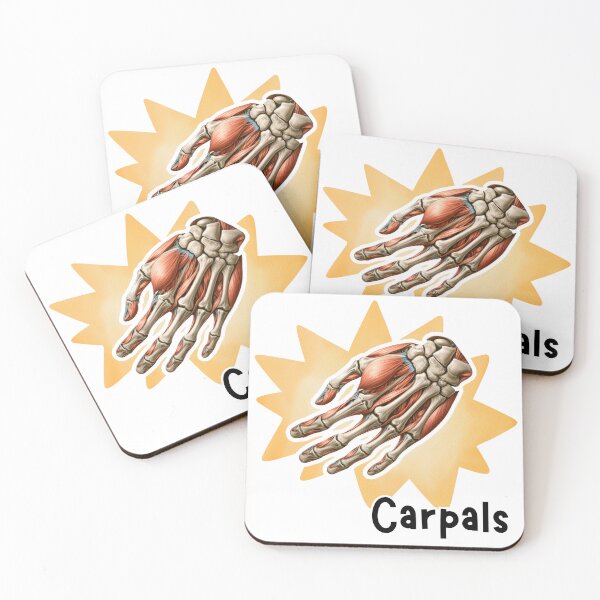 Item preview, Carpals Anatomy Illustration designed and sold by MuseGlowStudio.