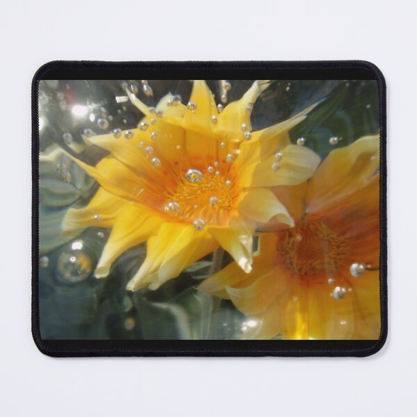 Item preview, Gazania bubbling designed and sold by birgitsfotoshop.