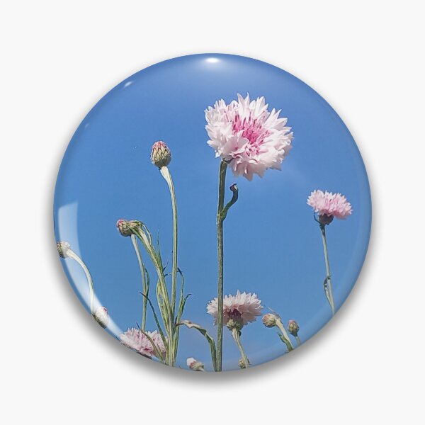 Item preview, Pink cornflowers on La Palma designed and sold by birgitsfotoshop.