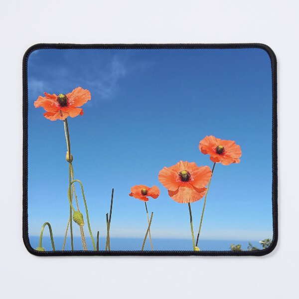 Item preview, Poppy field in front of the Atlantic Ocean designed and sold by birgitsfotoshop.