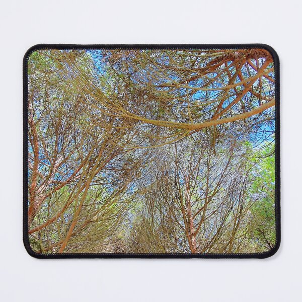 Item preview, tree net designed and sold by Tereza Pilar  Art.