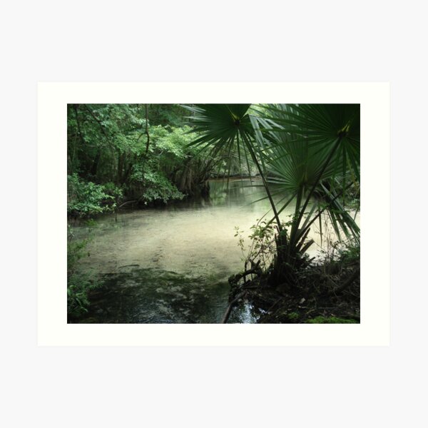 Outflow from the Beaverdam Art Print