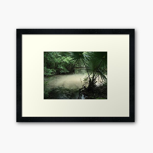 Outflow from the Beaverdam Framed Art Print