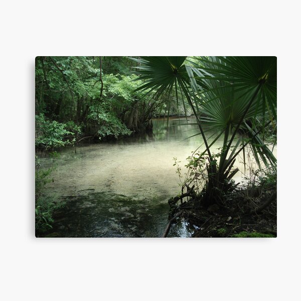 Outflow from the Beaverdam Canvas Print