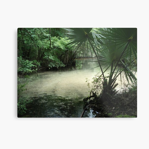 Outflow from the Beaverdam Metal Print