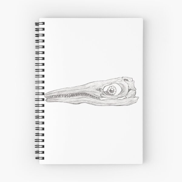 Item preview, Ichthyosaur skull designed and sold by DoodleSnake58.