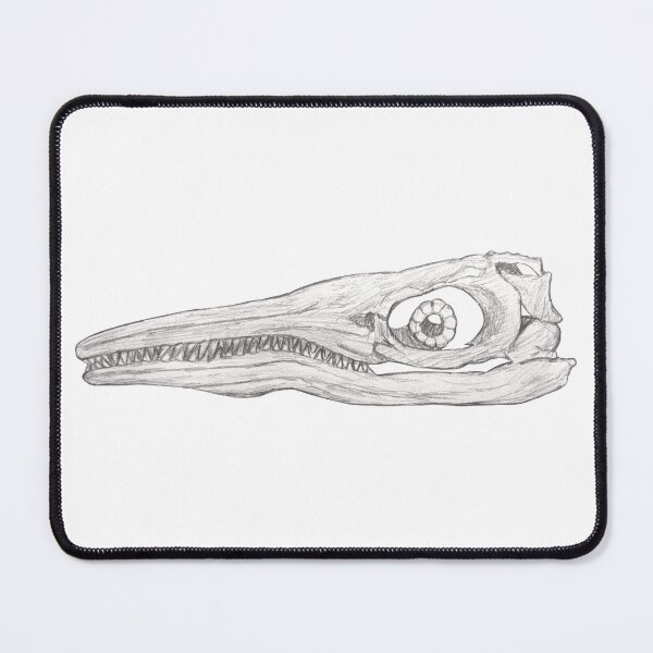 Item preview, Ichthyosaur skull designed and sold by DoodleSnake58.