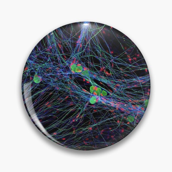 Item preview, DRGs Series: Web designed and sold by MicroLife-DSG.