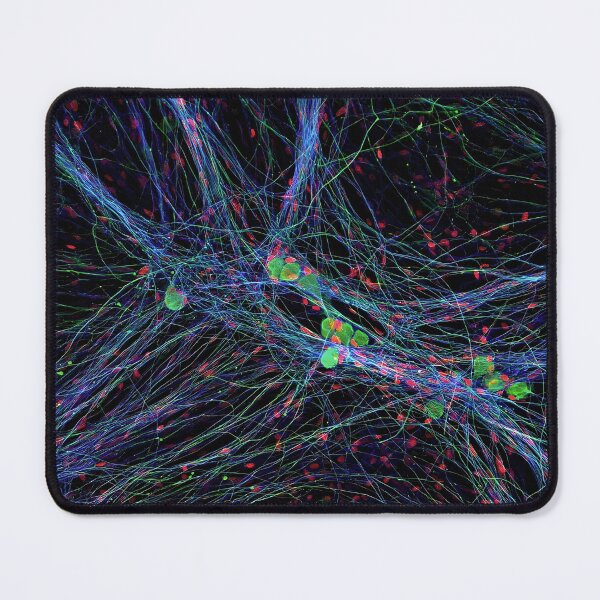Item preview, DRGs Series: Web designed and sold by MicroLife-DSG.