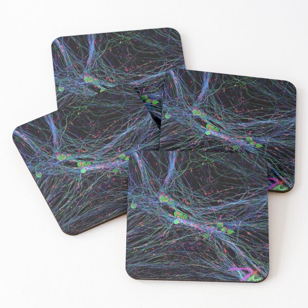 Item preview, DRGs Series: Web designed and sold by MicroLife-DSG.