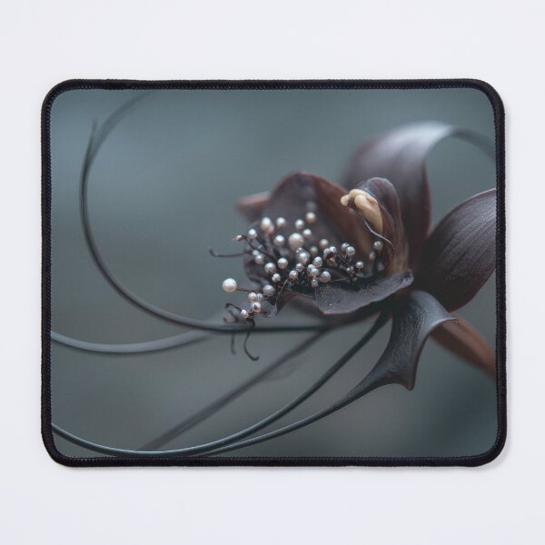 Item preview, Delicate black flower designed and sold by anytka.