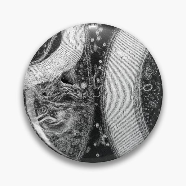 Item preview, Black and White Collection: Sheathed designed and sold by MicroLife-DSG.