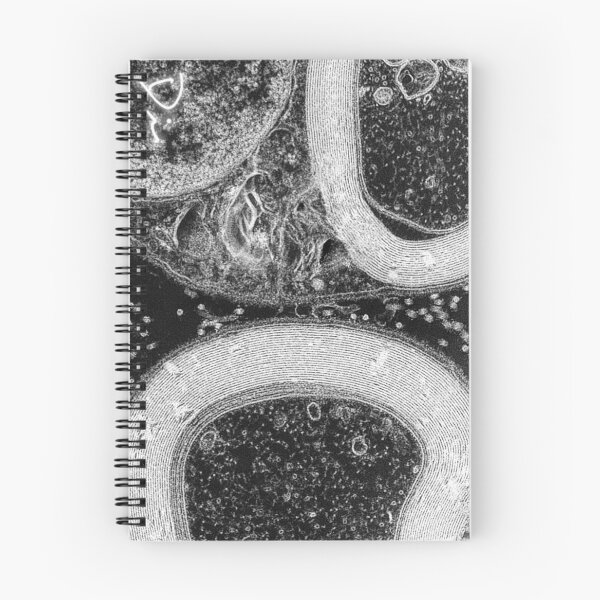 Item preview, Black and White Collection: Sheathed designed and sold by MicroLife-DSG.