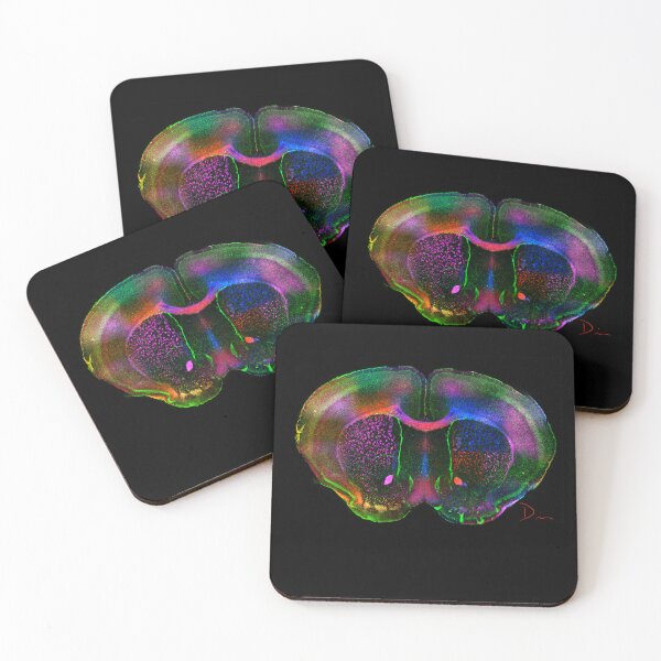 Item preview, Rainbow Brain designed and sold by MicroLife-DSG.