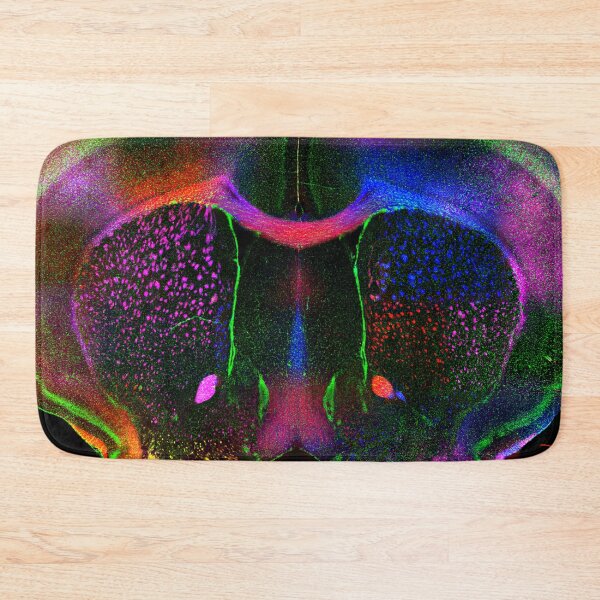 Item preview, Rainbow Brain designed and sold by MicroLife-DSG.