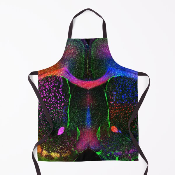 Item preview, Rainbow Brain designed and sold by MicroLife-DSG.