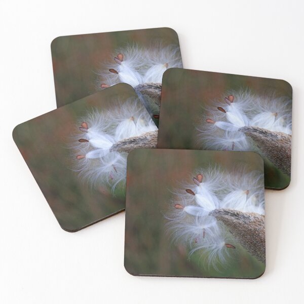 Item preview, Milkweed designed and sold by James Cumming.