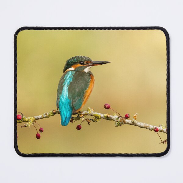 Item preview, Kingfisher and Hawthorn designed and sold by Jane Stanley Photography.
