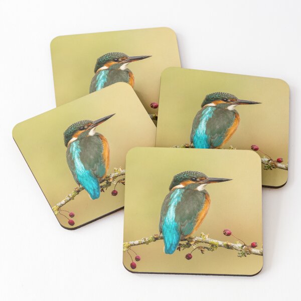 Item preview, Kingfisher and Hawthorn designed and sold by Jane Stanley Photography.