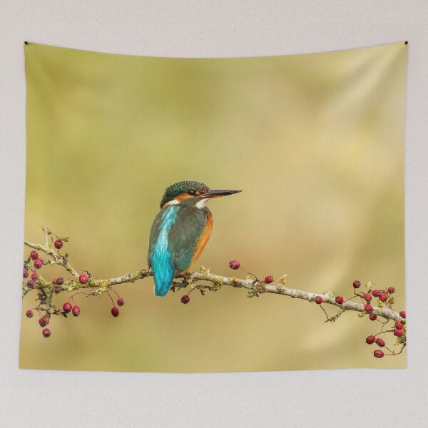 Item preview, Kingfisher and Hawthorn designed and sold by Jane Stanley Photography.