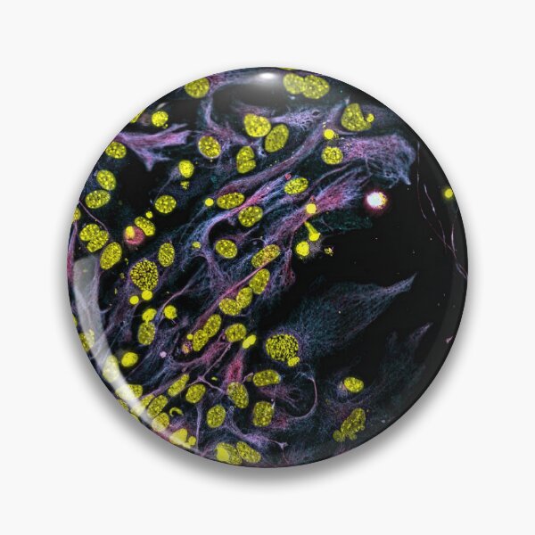 Item preview, Spring designed and sold by MicroLife-DSG.