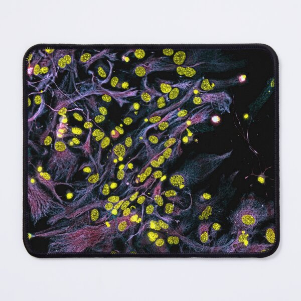 Item preview, Spring designed and sold by MicroLife-DSG.