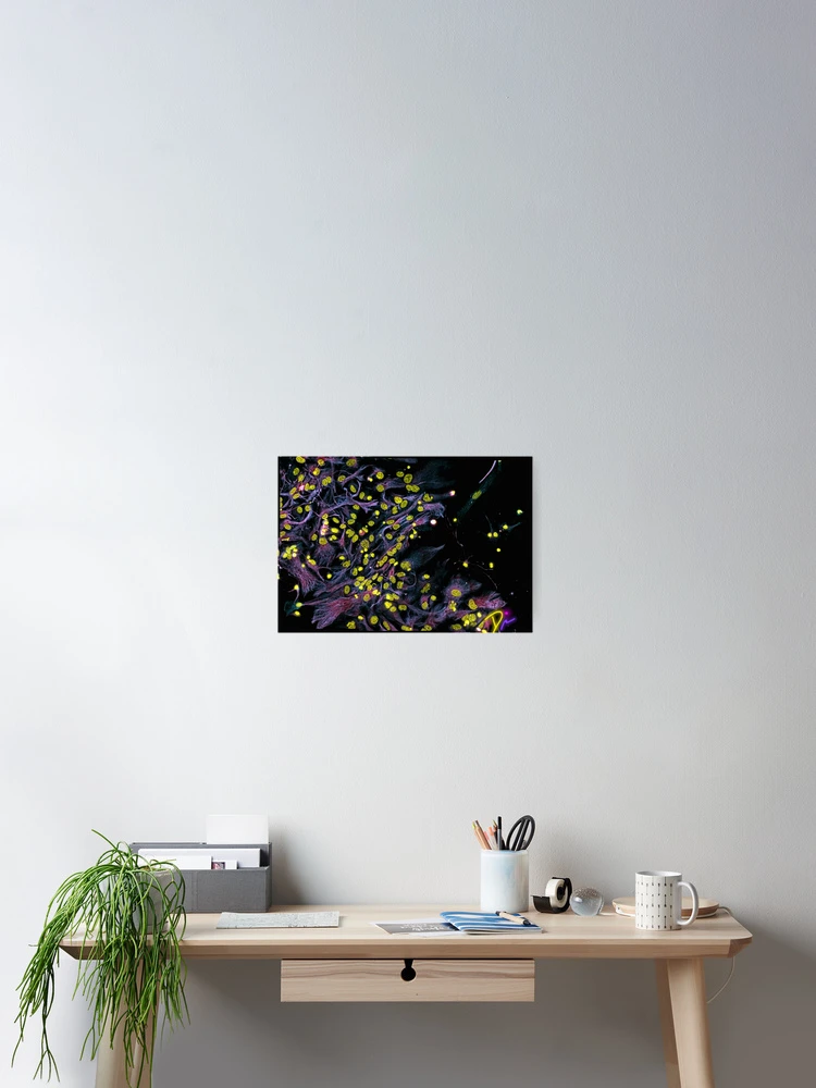 Thumbnail 2 of 3, Poster, Spring designed and sold by MicroLife-DSG.