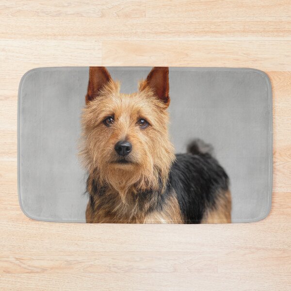 Item preview, Cute Australian Terrier designed and sold by Elisabeth Lucas.