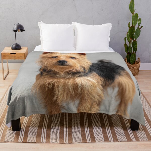 Item preview, Cute Australian Terrier designed and sold by Elisabeth Lucas.