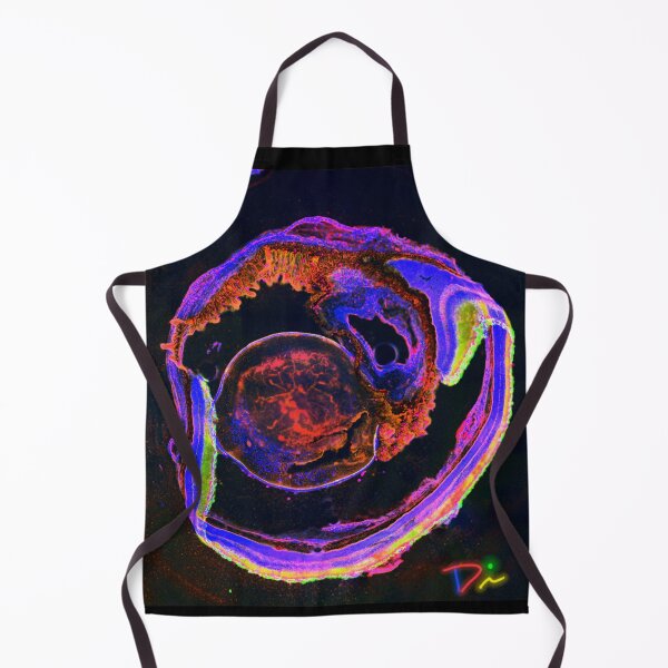Item preview, Payaso designed and sold by MicroLife-DSG.