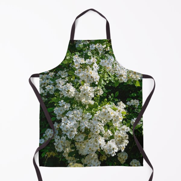 Item preview, Shrub roses - "Rosy Boom" designed and sold by Erwin G. Kotzab.