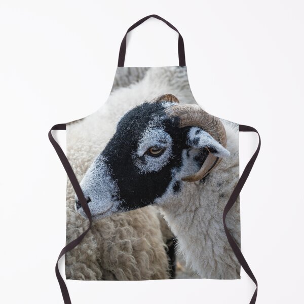 Item preview, Swaledale sheep designed and sold by Andrew Fletcher Photography.