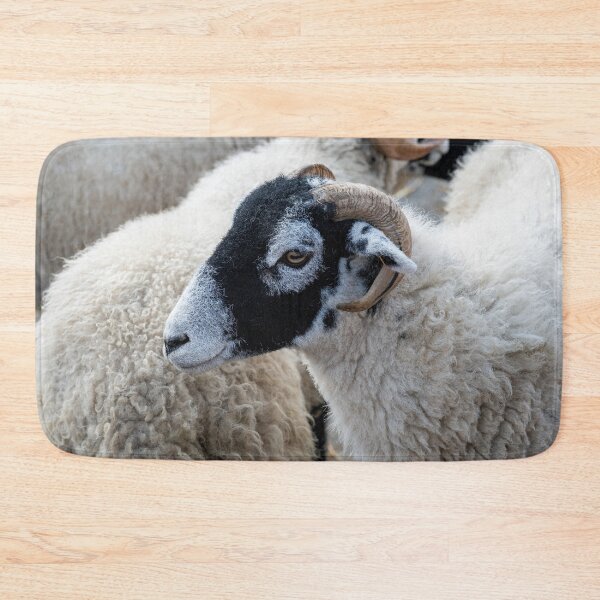 Item preview, Swaledale sheep designed and sold by Andrew Fletcher Photography.