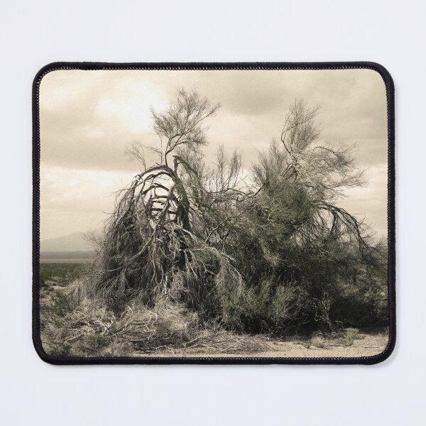 Item preview, Almost still life designed and sold by Denis Charbonnier.