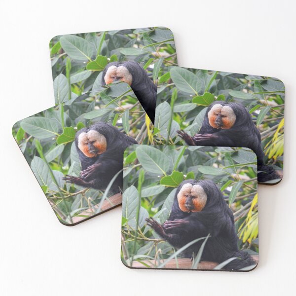 Item preview, Saki Monkey in Lush Habitat designed and sold by Savannah Gibbs.