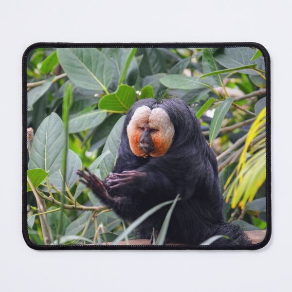 Item preview, Saki Monkey in Lush Habitat designed and sold by Savannah Gibbs.