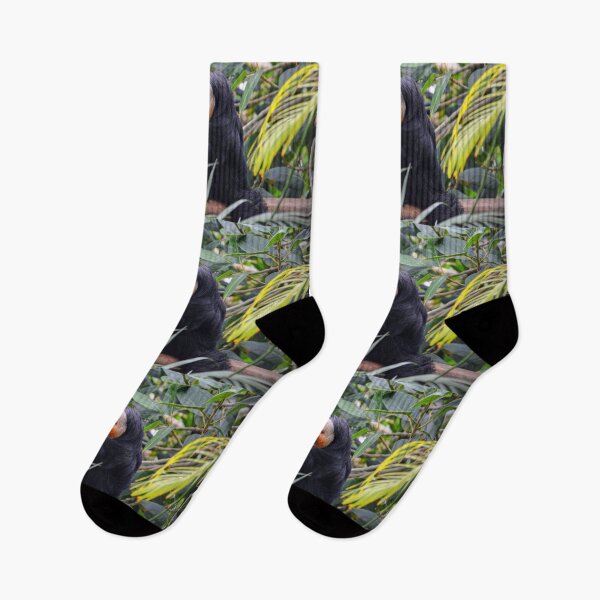 Item preview, Saki Monkey in Lush Habitat designed and sold by Savannah Gibbs.