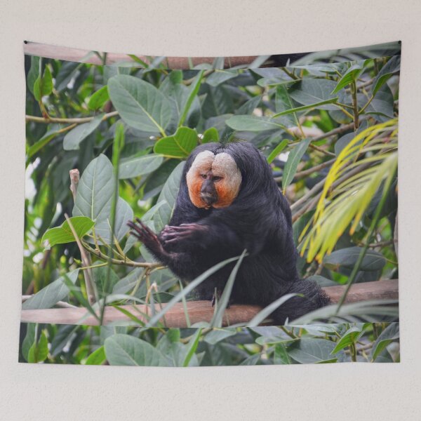 Aperçu de l'œuvre Singe saki dans un habitat luxuriant créée et vendue par Savannah Gibbs.