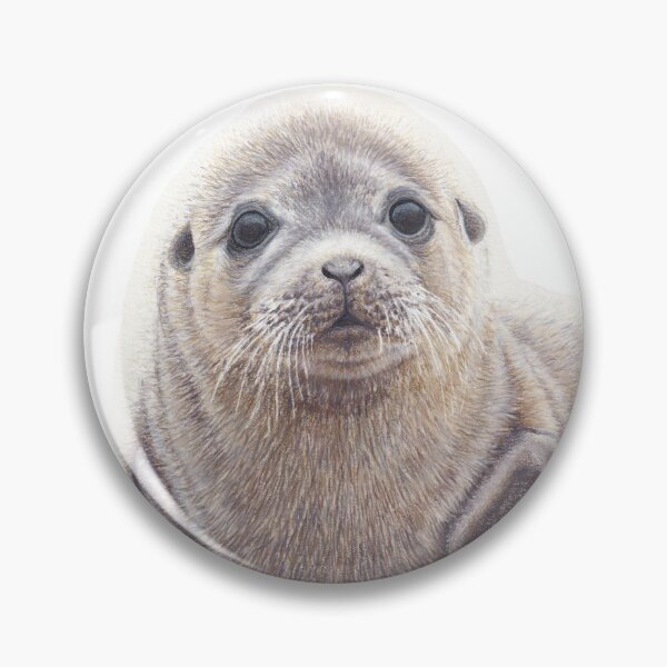 Item preview, Baby Seal designed and sold by stahl-gabriella.