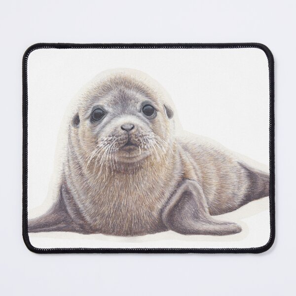 Item preview, Baby Seal designed and sold by stahl-gabriella.