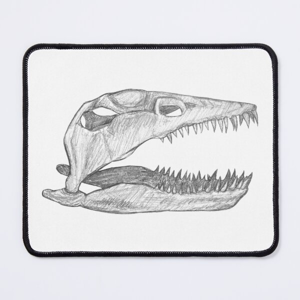 Item preview, Plesiosaur skull designed and sold by DoodleSnake58.