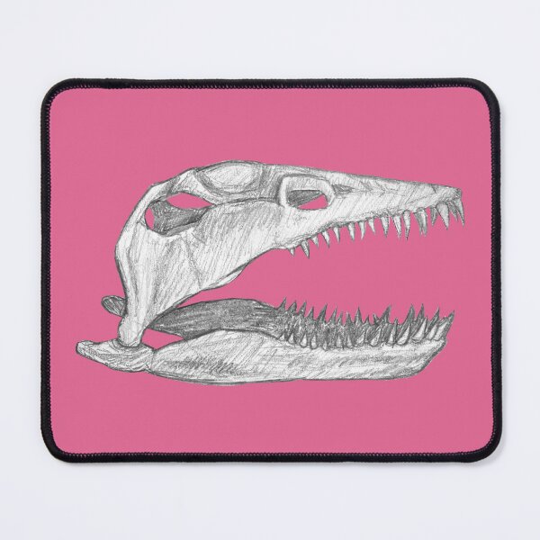 Item preview, Plesiosaur skull designed and sold by DoodleSnake58.